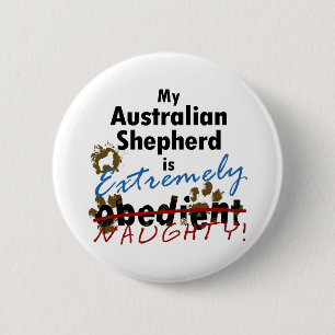 Extremt stygg australian shepherd knapp