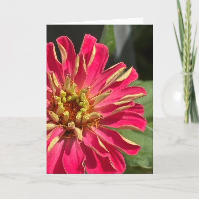 Exuberant Zinnia Blank Greeting Card Kort (Framsida)