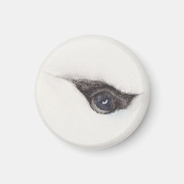 Eye of the Albatross – Gaze Collection Magnet
