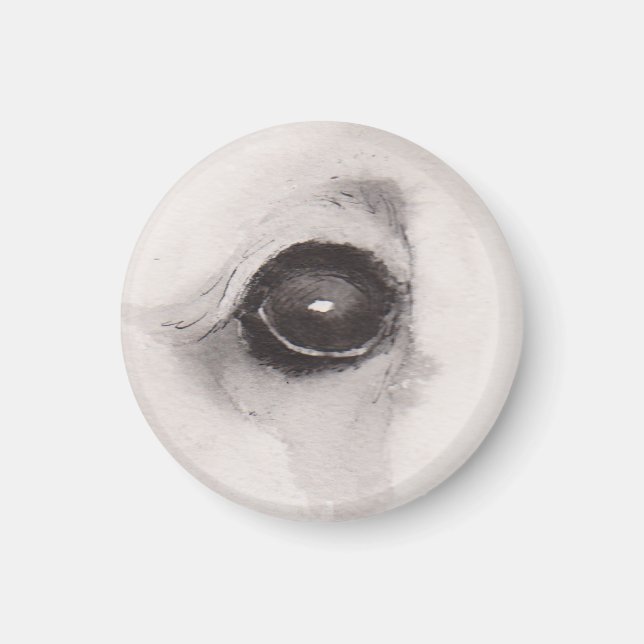 Eye of the Bear – Gaze Collection Magnet (Framsidan)