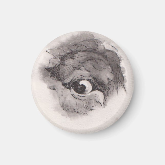 Eye of the Bison – Gaze Collection Magnet (Framsidan)