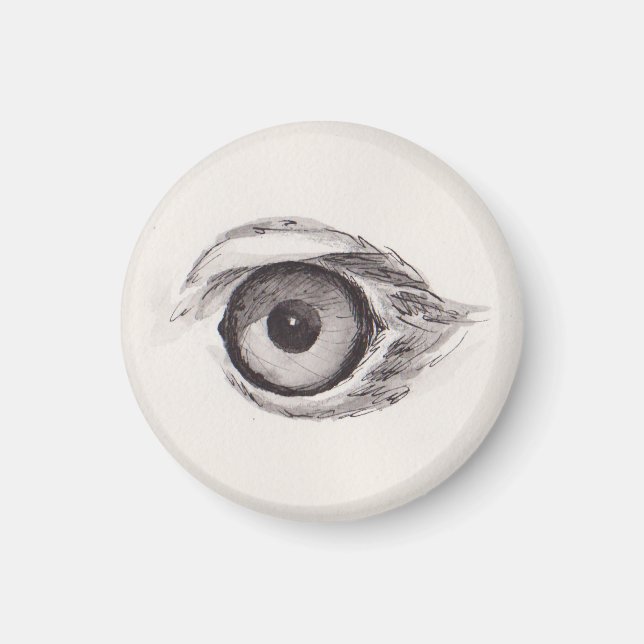 Eye of the Eagle – Gaze Collection Magnet (Framsidan)