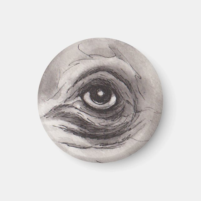 Eye of the Hippo – Gaze Collection Magnet (Framsidan)