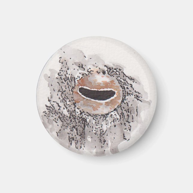 Eye of the octopus – Gaze Collection Magnet (Framsidan)