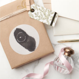 Eye of the Panda – Gaze Collection Runt Klistermärke