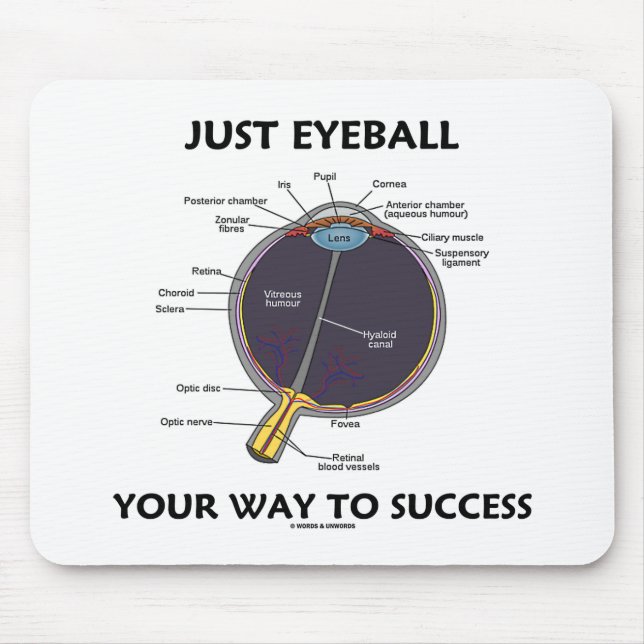 Eyeball är din väg till framgång (Öga-anatomi) Musmatta (Framsidan)