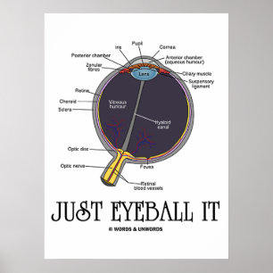 Eyeball it (Öga-anatomi-approximering) Poster