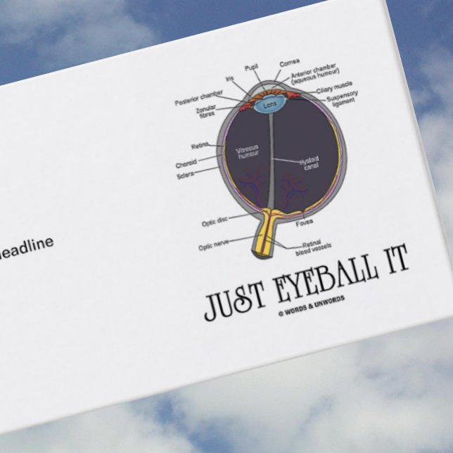 Eyeball it (Öga-anatomi-approximering) Visitkort (Business card for anyone who approximates with the anatomical advice "Just Eyeball It")