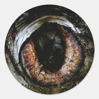 Eyeball Sticker Runt Klistermärke
