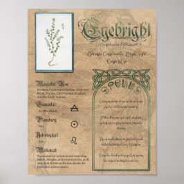 Eyebright Herbal Bok i Shadows Pagan Wiccan Poster