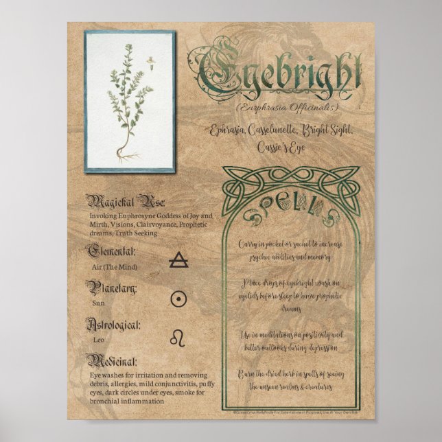 Eyebright Herbal Bok i Shadows Pagan Wiccan Poster (Framsidan)