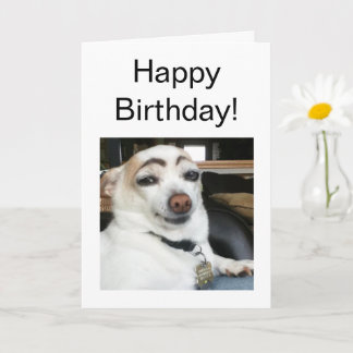 Eyebrow-Hund för mappat kort