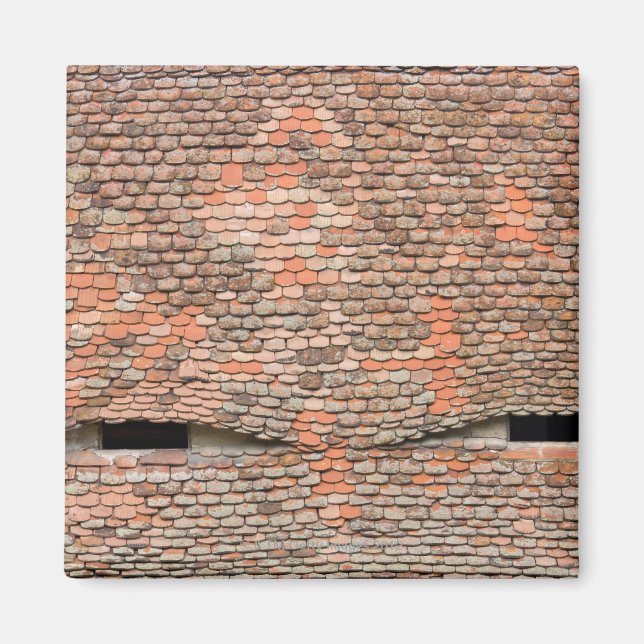 Eyelike dormer windows in a tiled tak magnet (Framsidan)