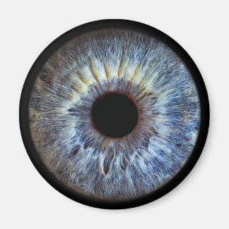 Eyepic Blue Iris Magnet