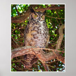 Eyes of the Night: Great Horned Owl Poster