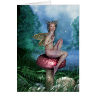 ezadorakort OBS kort