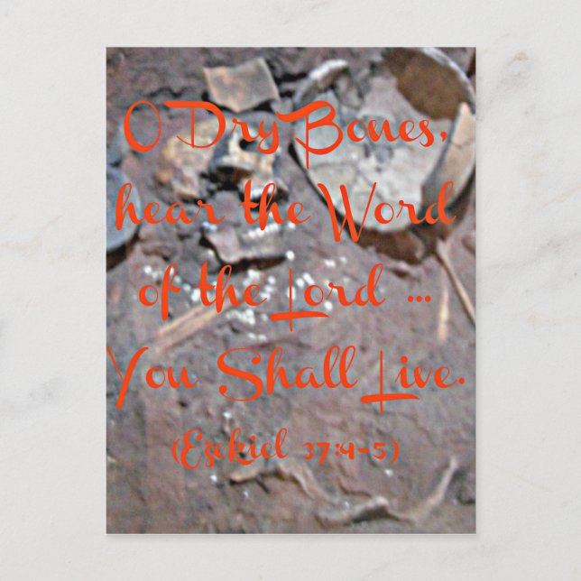 Ezekiel Bible O torra ben Vykort (Framsida)