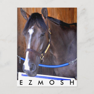 Ezmosh Vykort