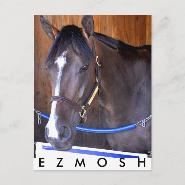 Ezmosh Vykort (Framsida)