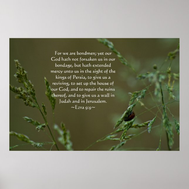 Ezra 9:9 poster (Framsidan)