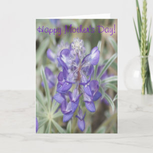 F0018 Lila vildblommor Ettårig lupin Kort