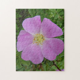 F11 Vild ros "Rosa arkansana" Pussel