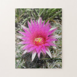 F12 Boll Cactus blomma "Escobaria vivipara" Pussel