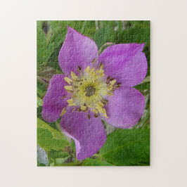 F13 Prickley Ro Alberta Vild Ro Pussel