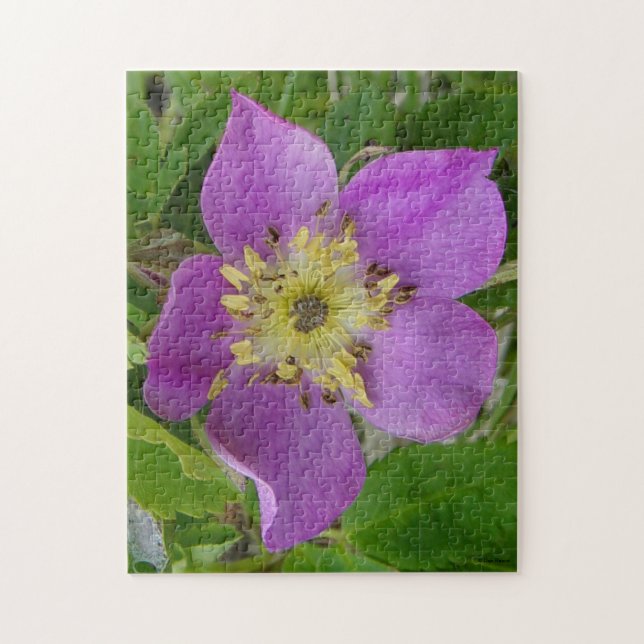 F13 Prickley Ro Alberta Vild Ro Pussel (Vertikal)