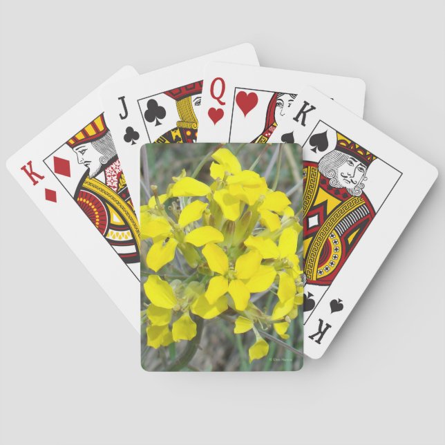 F14 Gula Vildblommor Casinokort (Baksidan)