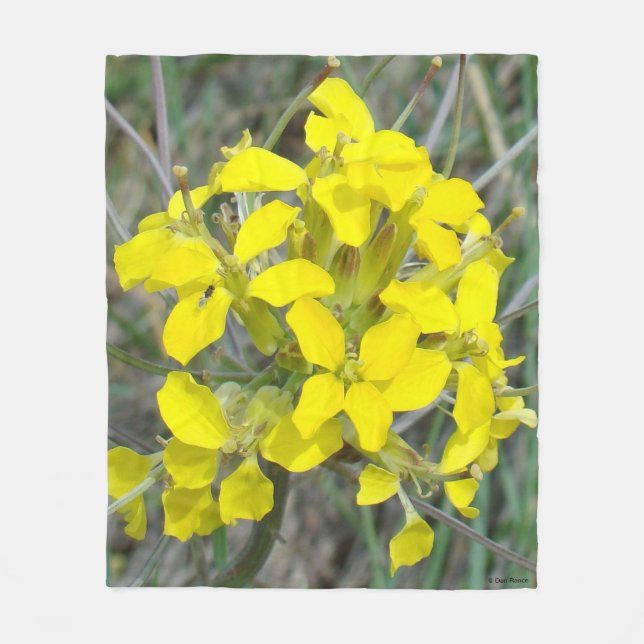 F14 Gula Vildblommor Fleecefilt (Framsidan)