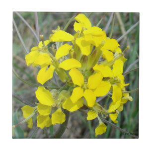 F14 Gula Vildblommor Kakelplatta