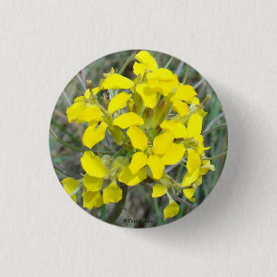 F14 Gula Vildblommor Knapp