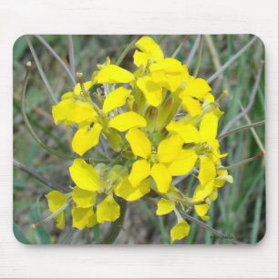F14 Gula Vildblommor Musmatta