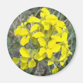 F14 Gult Wildblommor Magnet