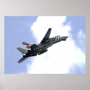 F14-klimmer Skyward Poster