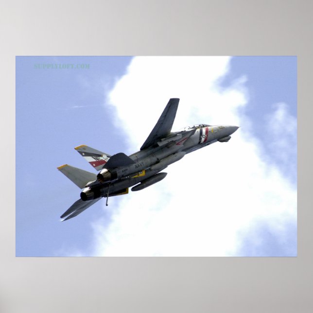 F14-klimmer Skyward Poster (Framsidan)