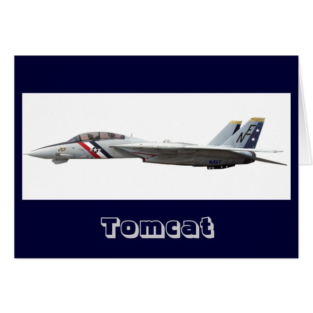F14 Tomcat OBS Kort (Framsidan Horizontal)