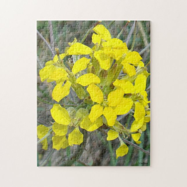 F14 Wildblommor med liten Gult Pussel (Vertikal)