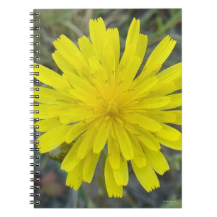 F16 Gul vild blomsterkung djävul Anteckningsbok