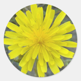 F16 Gult Wildblomma Kung Djävulen Runt Klistermärke