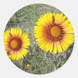 F17 gula vildblommor Gaillardia Runt Klistermärke