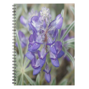 F18 Lila vilda blommor Ettårig lupin Anteckningsbok
