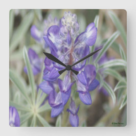 F18 Lila Wildblommor Årlig blöjfisk Fyrkantig Klocka