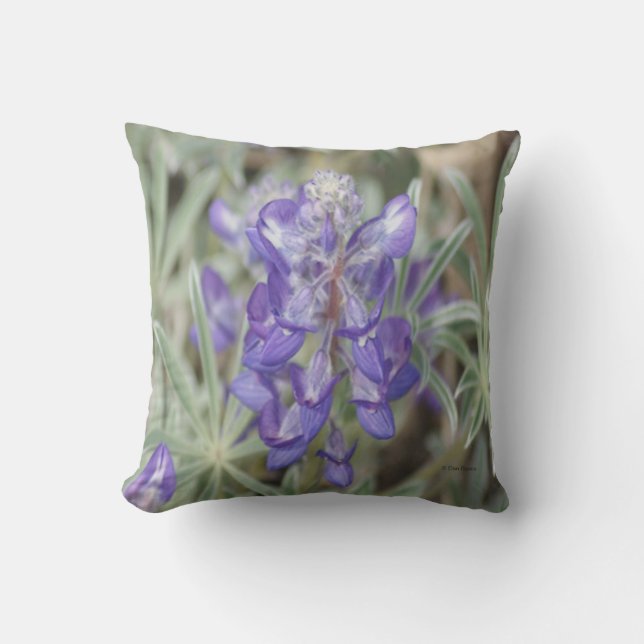 F18 Lila Wildblommor Årlig blöjfisk Kudde (Framsida)