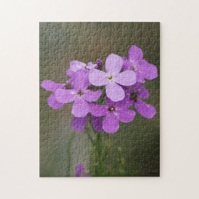 F19 Lila Vilda Blommor Dames Rocket Pussel (Vertikal)