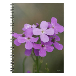 F19 Lila Vildblommor Damskott Raket Anteckningsbok