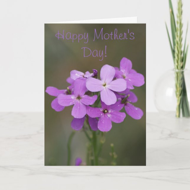 F19 Lila Wildblommor Dames Rocket Kort (Framsida)