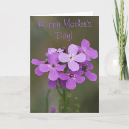 F19 Lila Wildblommor Dames Rocket Kort