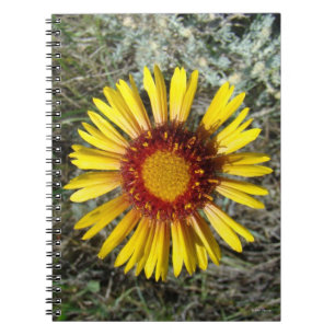 F1 Gul Vildblomma Gaillardia Anteckningsbok